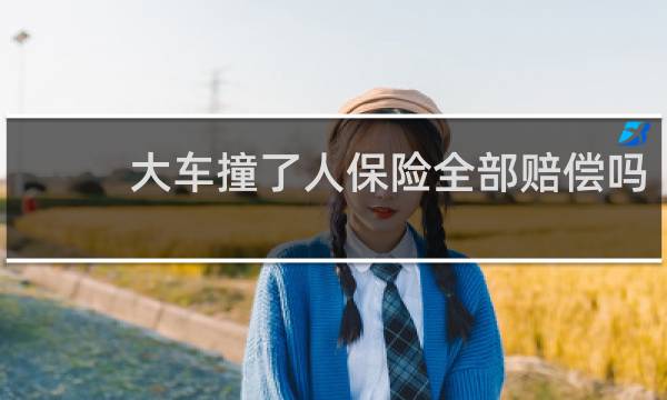 大车撞了人保险全部赔偿吗