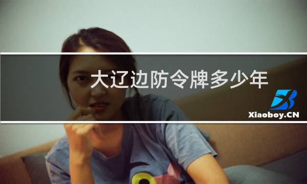 大辽边防令牌多少年