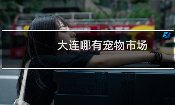 大连哪有宠物市场