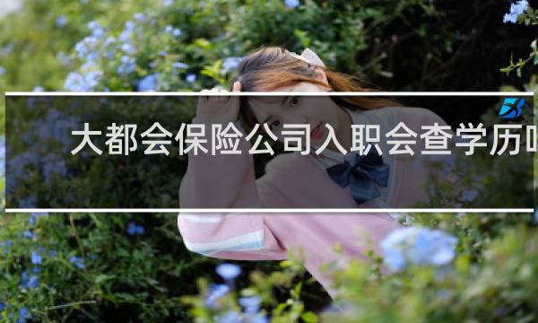 大都会保险公司入职会查学历吗
