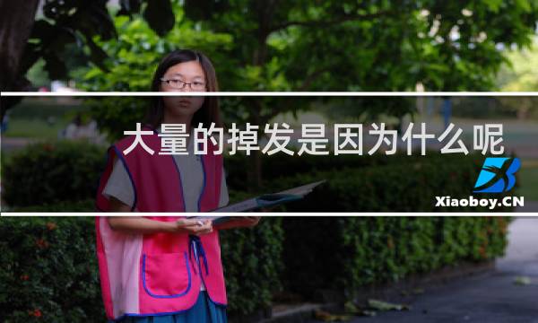 大量的掉发是因为什么呢