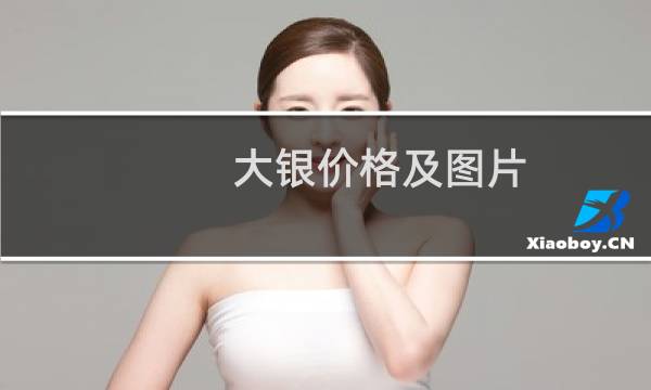 大银价格及图片