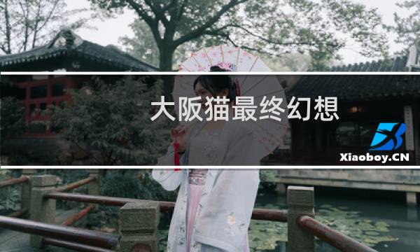 大阪猫最终幻想