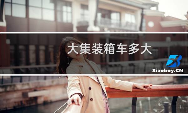 大集装箱车多大
