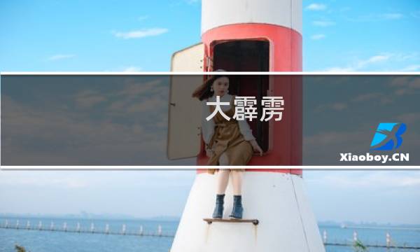 大霹雳 攻略