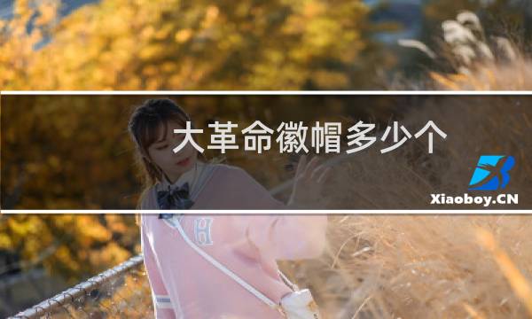 大革命徽帽多少个