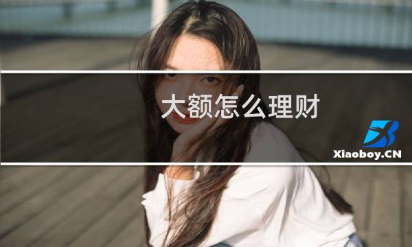 大额怎么理财