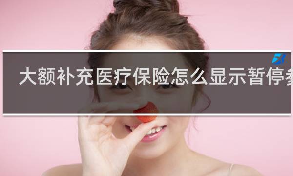 大额补充医疗保险怎么显示暂停参保