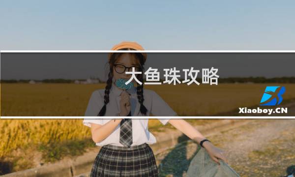 大鱼珠攻略