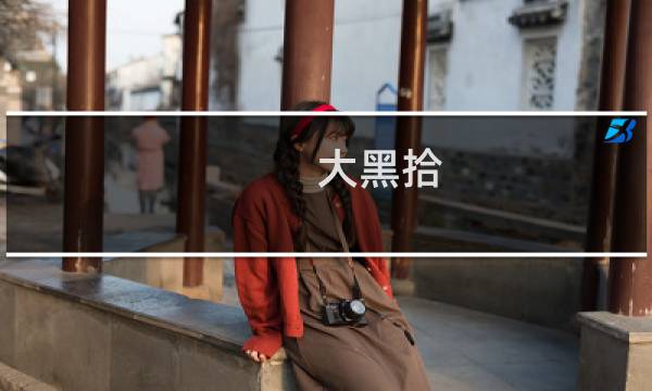 大黑拾 价格
