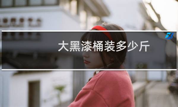 大黑漆桶装多少斤