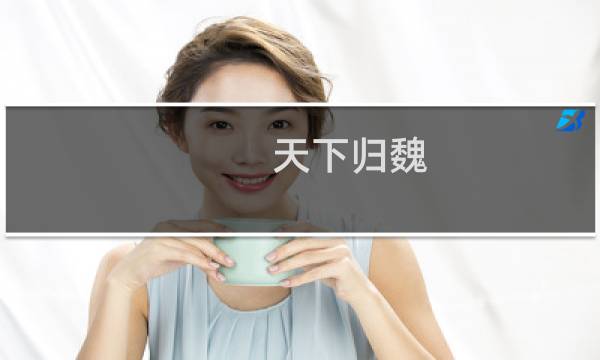 天下归魏 攻略