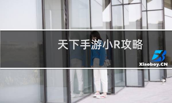 天下手游小R攻略