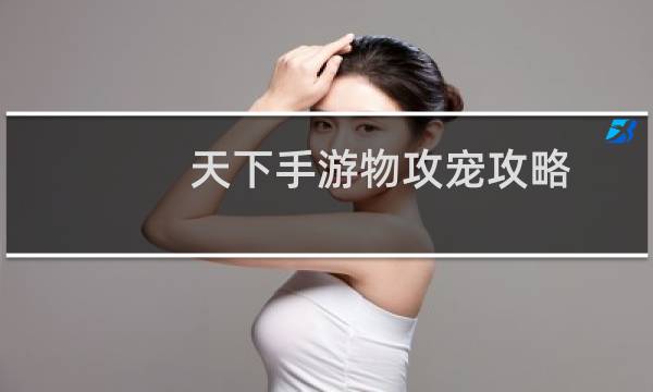 天下手游物攻宠攻略