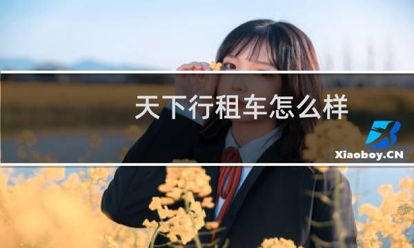 天下行租车怎么样
