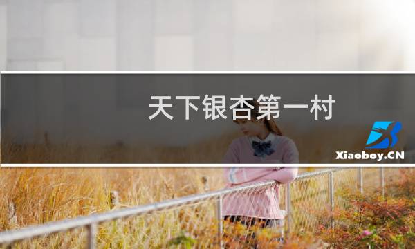 天下银杏第一村