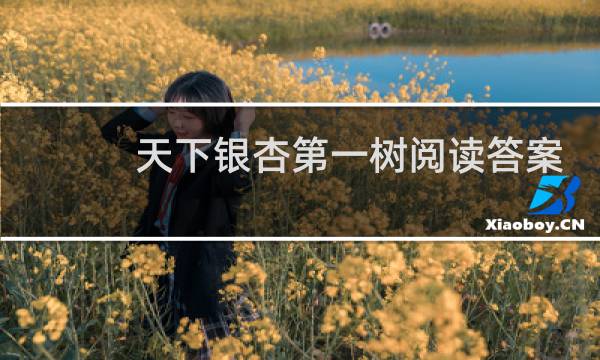 天下银杏第一树阅读答案