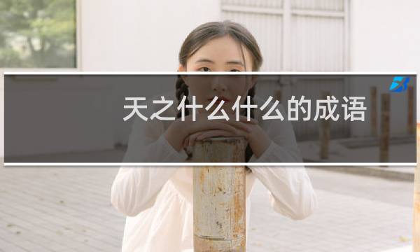 天之什么什么的成语