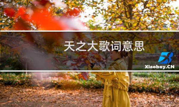 天之大歌词意思