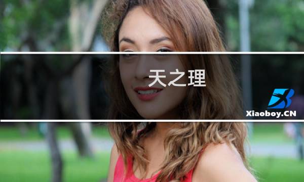 天之理 攻略
