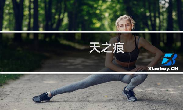 天之痕 全景攻略