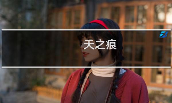 天之痕 攻略本