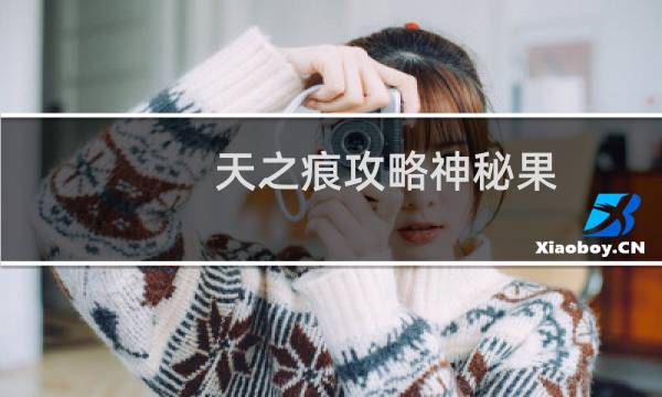 天之痕攻略神秘果