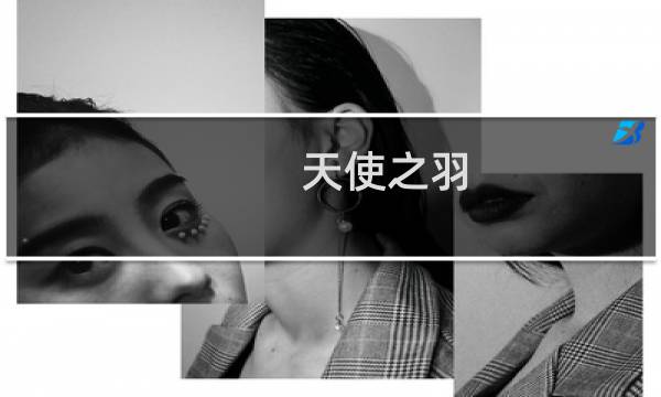 天使之羽 攻略