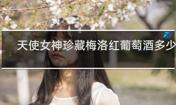 天使女神珍藏梅洛红葡萄酒多少钱