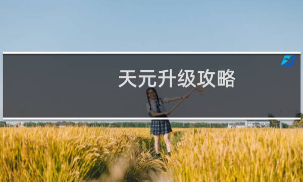 天元升级攻略