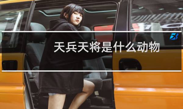 天兵天将是什么动物