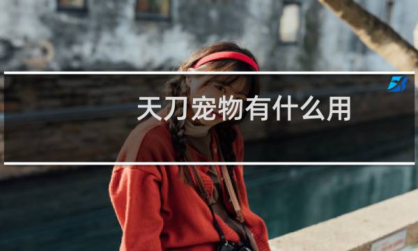 天刀宠物有什么用