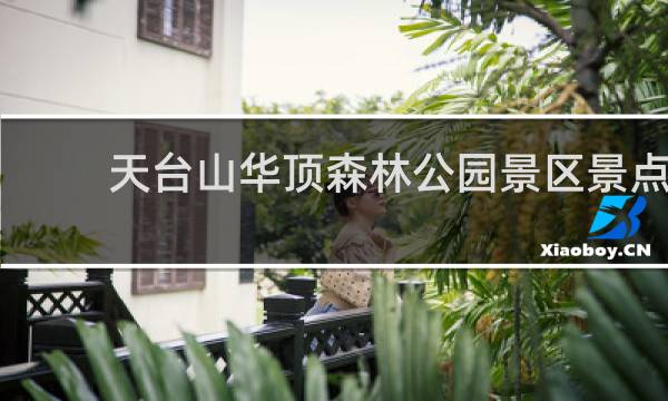 天台山华顶森林公园景区景点