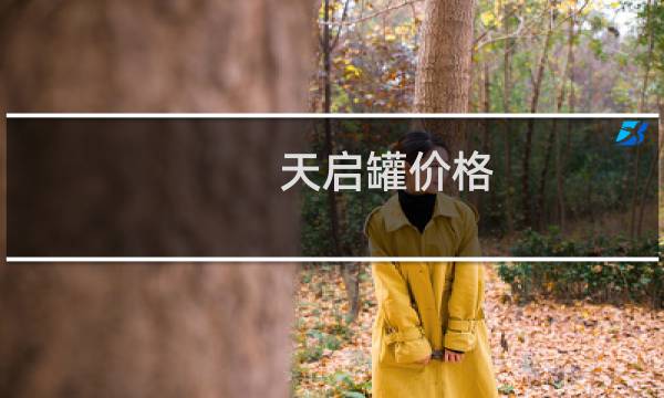天启罐价格