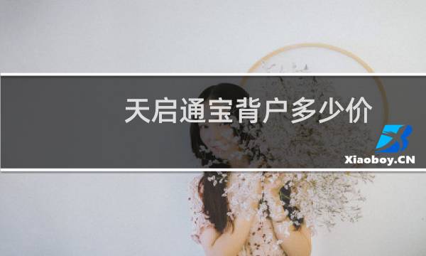 天启通宝背户多少价