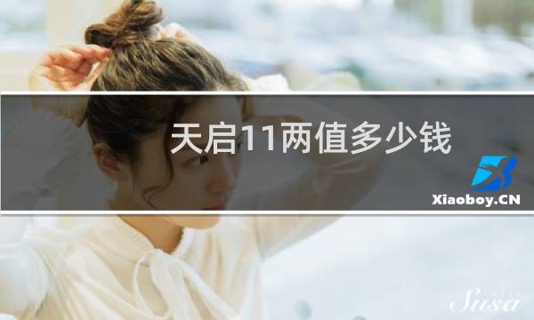 天启11两值多少钱