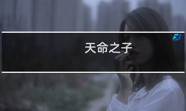 天命之子  攻略