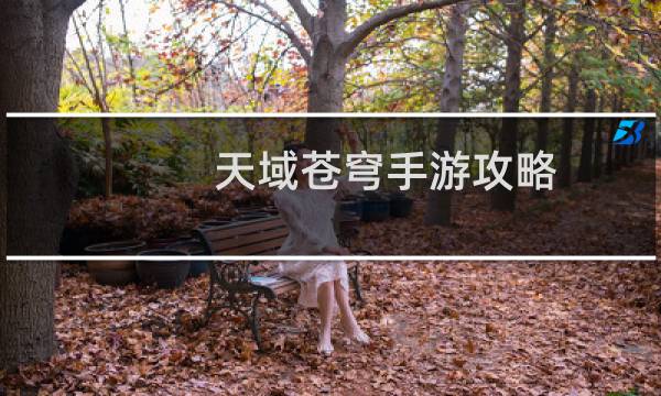 天域苍穹手游攻略