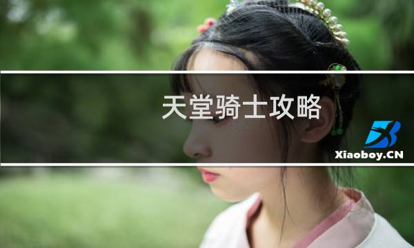天堂骑士攻略