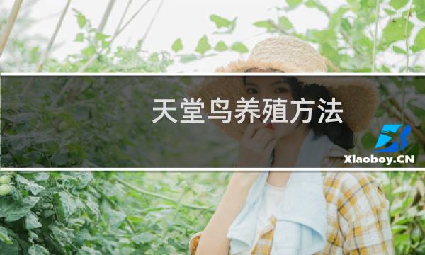 天堂鸟养殖方法