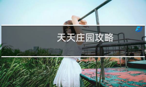 天天庄园攻略