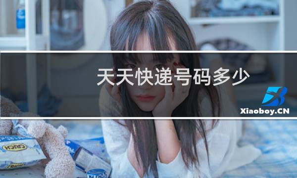天天快递号码多少