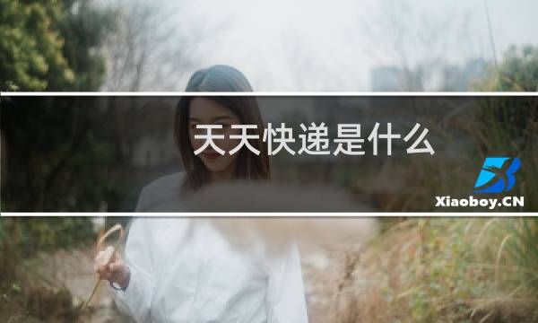 天天快递是什么