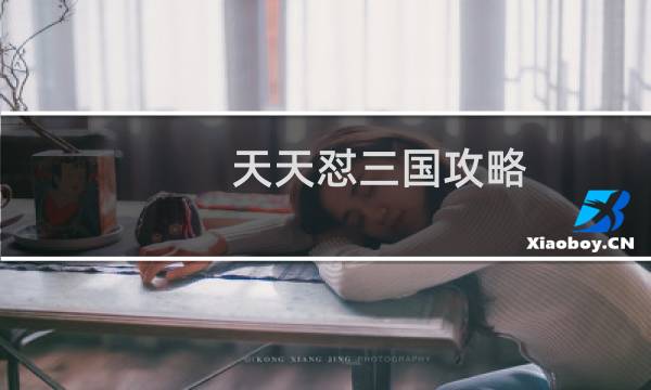 天天怼三国攻略