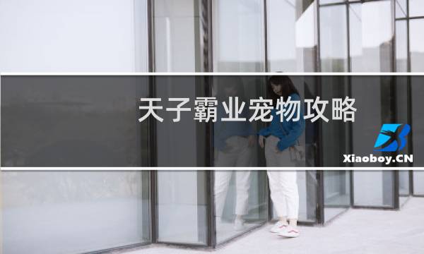 天子霸业宠物攻略