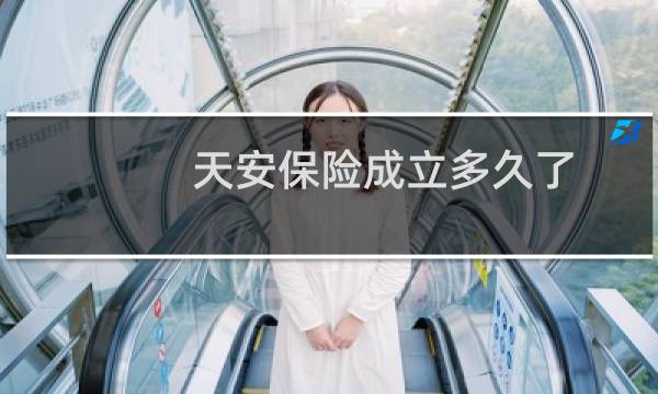 天安保险成立多久了