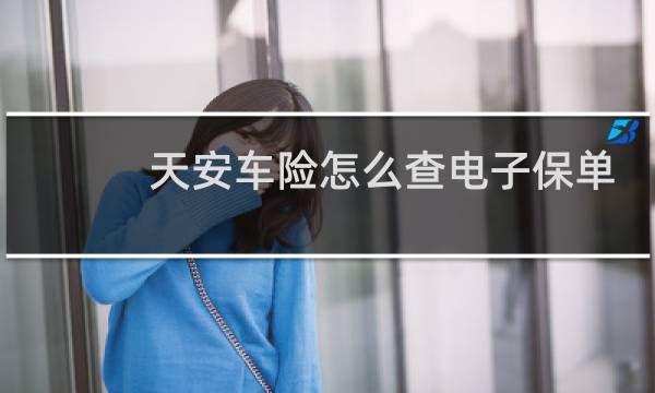 天安车险怎么查电子保单