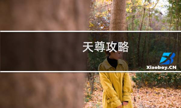 天尊攻略