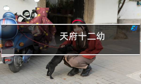 天府十二幼