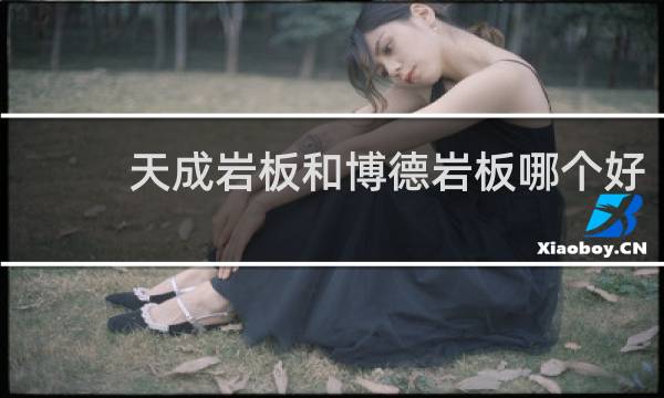 天成岩板和博德岩板哪个好